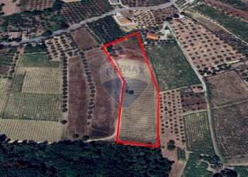 Posizione della mappa - Agricultural land Via Feltrino, Frisa - photo 11