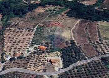 Posizione della mappa - Agricultural land Via Feltrino, Frisa - photo 16