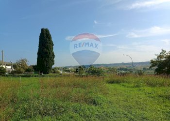 Giardino - Casa indipendente Contrada Schiavonesco, Torino di Sangro - foto 4