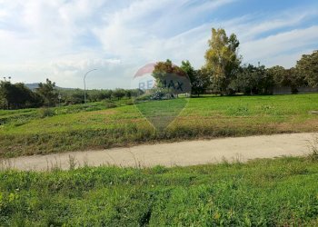 Giardino - Casa indipendente Contrada Schiavonesco, Torino di Sangro - foto 5