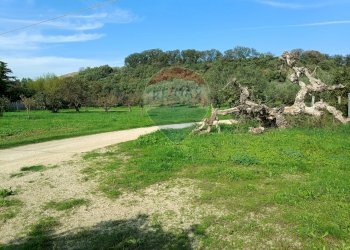 Giardino - Casa indipendente Contrada Schiavonesco, Torino di Sangro - foto 8