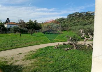 Giardino - Casa indipendente Contrada Schiavonesco, Torino di Sangro - foto 40