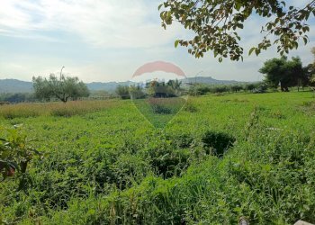 Giardino - Casa indipendente Contrada Schiavonesco, Torino di Sangro - foto 44