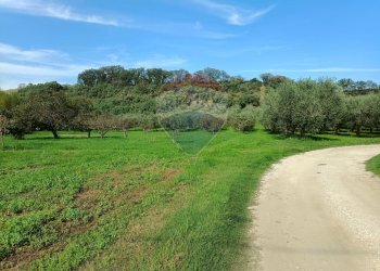 Vista delle montagne - Casa indipendente Contrada Schiavonesco, Torino di Sangro - foto 47
