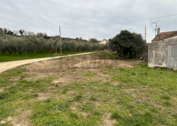 Giardino - Rustic Contrada Schiavonesco, Torino di Sangro - photo 52