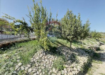 Giardino - Casa indipendente Orsogna - foto 95