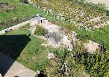 Giardino - Casa indipendente Orsogna - foto 122