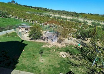 Vista delle montagne - Casa indipendente Orsogna - foto 132