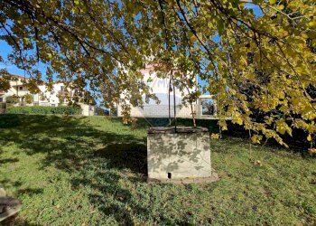 Giardino - Casa indipendente Via Santa Lucia
 
264, Sant'Eusanio del Sangro - foto 8