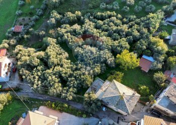 Giardino - Independent house Villa Rogatti
 
79, Ortona - photo 13