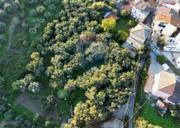 Giardino - Independent house Villa Rogatti
 
79, Ortona - photo 14