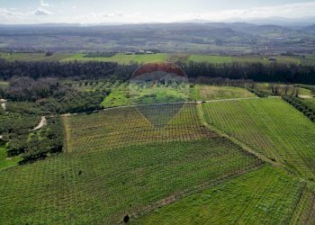 Vista delle montagne - Terreno agricolo C.da Lentesco, Torino di Sangro - foto 17