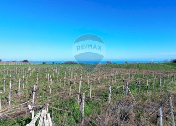 Vista dell\'acqua - Terreno agricolo C.da Lentesco, Torino di Sangro - foto 20