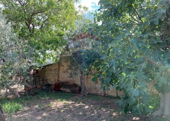 Giardino - Appartamento Contrada Serroni
 
38, Lanciano - foto 34