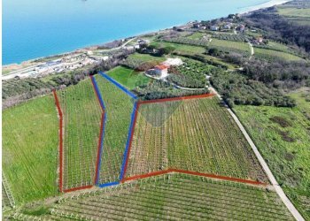 Posizione della mappa - Terreno agricolo C.da Lentesco, Torino di Sangro - foto 1