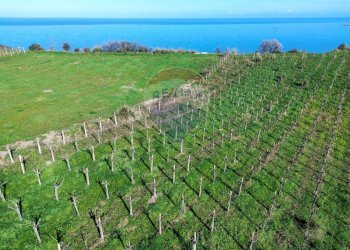 Vista dell\'acqua - Terreno agricolo C.da Lentesco, Torino di Sangro - foto 8