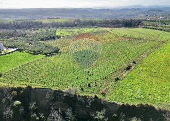 Vista delle montagne - Terreno agricolo C.da Lentesco, Torino di Sangro - foto 11