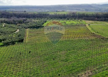 Vista delle montagne - Terreno agricolo C.da Lentesco, Torino di Sangro - foto 12