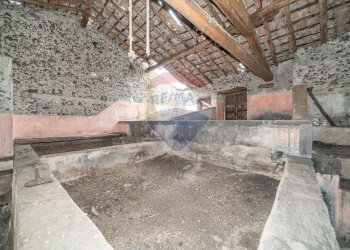 Non correlato - Rustico via mazzaglia
 
10, Nicolosi - foto 22