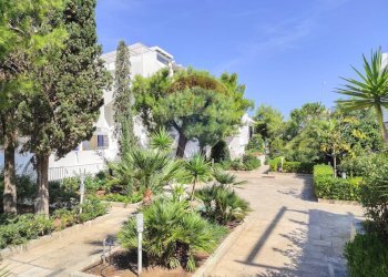 Giardino - Villa a Schiera Mola di Bari - foto 5