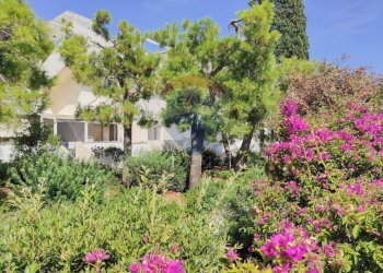 Giardino - Villa a Schiera Mola di Bari - foto 6