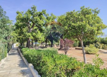 Giardino - Villa a Schiera Mola di Bari - foto 7