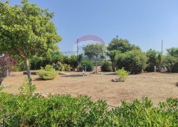 Giardino - Villa a Schiera Mola di Bari - foto 8