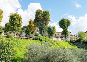 Giardino - Casa semi indipendente Borro al Prato
 
1, Reggello - foto 6