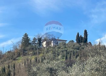 Non correlato - Azienda agricola San Giovanni Valdarno - foto 8