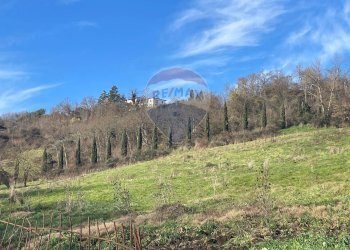Vista delle montagne - Azienda agricola San Giovanni Valdarno - foto 9