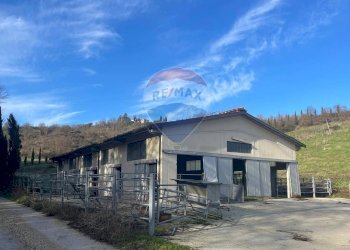 Casa all\'aperto - Azienda agricola San Giovanni Valdarno - foto 10