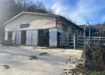 Casa all\'aperto - Azienda agricola San Giovanni Valdarno - foto 11