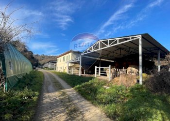 Casa all\'aperto - Azienda agricola San Giovanni Valdarno - foto 15