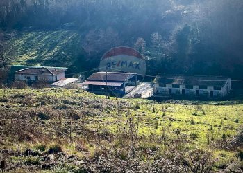 Vista delle montagne - Azienda agricola San Giovanni Valdarno - foto 16