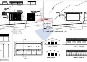 Pianta 2D - Azienda agricola San Giovanni Valdarno - foto 19