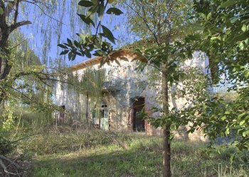 Giardino - Rustico località Riguzze, Castelfranco Piandiscò - foto 2