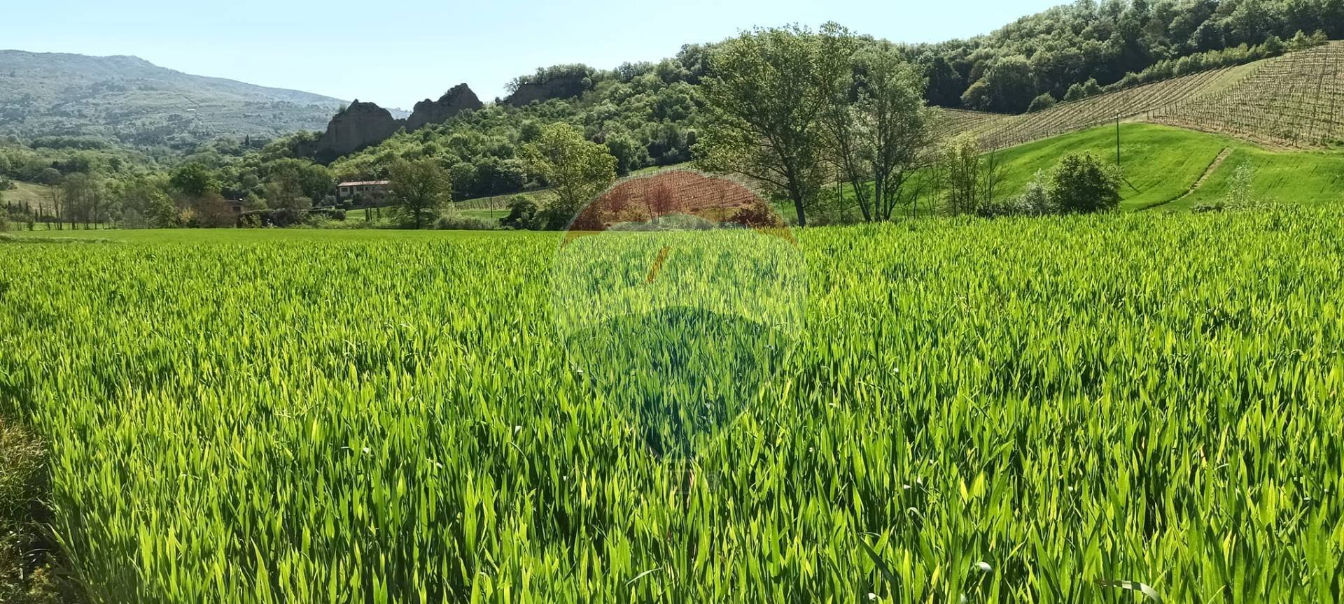 Vista delle montagne - Agricultural land via acqua zolfina, Castelfranco Piandiscò - photo 1