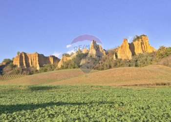 Vista delle montagne - Agricultural land via acqua zolfina, Castelfranco Piandiscò - photo 8