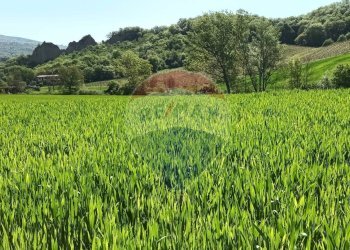 Vista delle montagne - Agricultural land via acqua zolfina, Castelfranco Piandiscò - photo 1