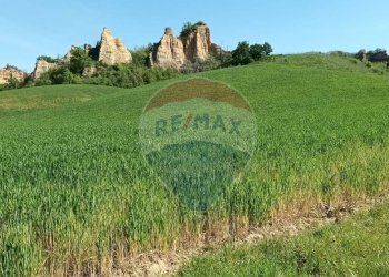 Giardino - Agricultural land via acqua zolfina, Castelfranco Piandiscò - photo 2