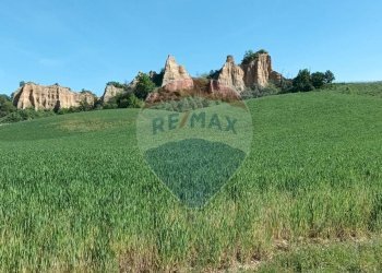 Giardino - Agricultural land via acqua zolfina, Castelfranco Piandiscò - photo 10