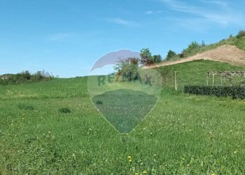 Giardino - Agricultural land via acqua zolfina, Castelfranco Piandiscò - photo 7