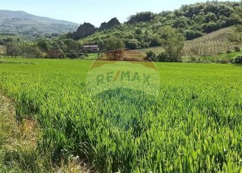 Vista delle montagne - Agricultural land via acqua zolfina, Castelfranco Piandiscò - photo 6