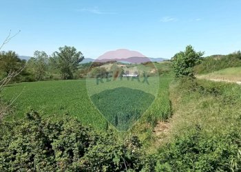 Giardino - Agricultural land via acqua zolfina, Castelfranco Piandiscò - photo 12
