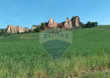 Giardino - Agricultural land via acqua zolfina, Castelfranco Piandiscò - photo 14