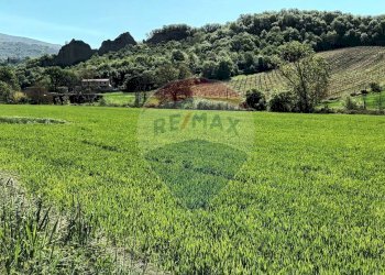 Vista delle montagne - Agricultural land via acqua zolfina, Castelfranco Piandiscò - photo 15