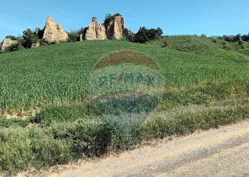 Giardino - Agricultural land via acqua zolfina, Castelfranco Piandiscò - photo 16