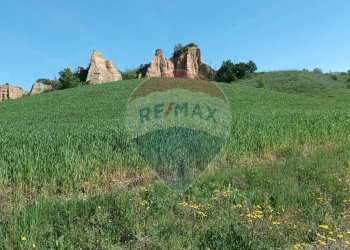 Giardino - Agricultural land via acqua zolfina, Castelfranco Piandiscò - photo 17