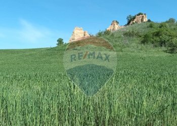 Vista delle montagne - Agricultural land via acqua zolfina, Castelfranco Piandiscò - photo 18