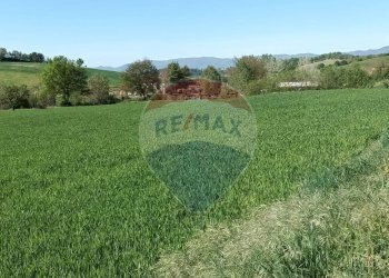 Giardino - Agricultural land via acqua zolfina, Castelfranco Piandiscò - photo 19